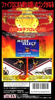 Super Fire Pro Wrestling - Queen's Special (Japan) box cover back